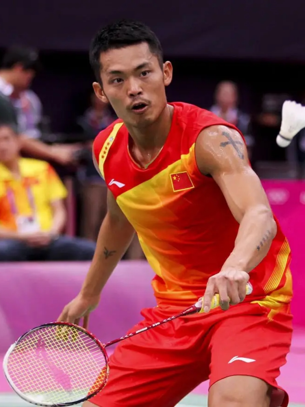 切尔西在这 切尔西在这