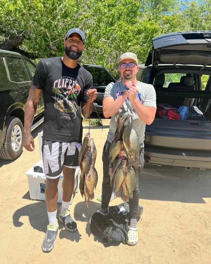 与效率著称 与效率著称