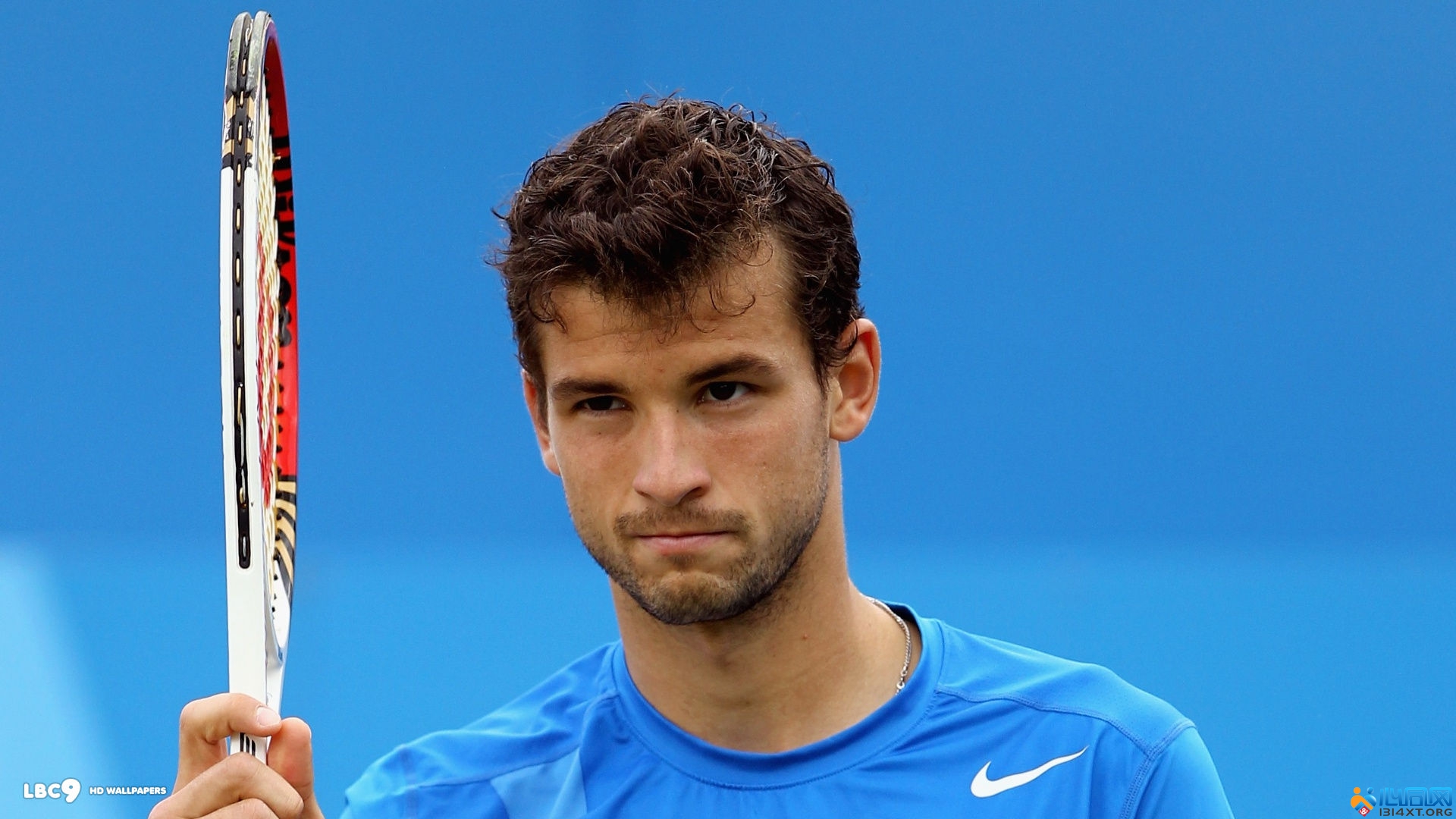 题引热议 题引热议